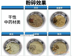 不銹鋼材質中草藥專用粉碎機廠家一件起批