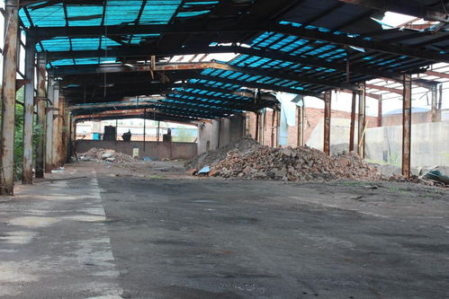 石龍區和家食品廠 生態優先健康發展